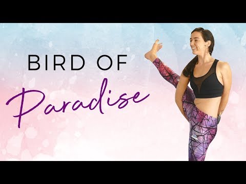 Power Yoga Challenge: Bird of Paradise Tutorial with Julia Marie, Workout for Weight Loss