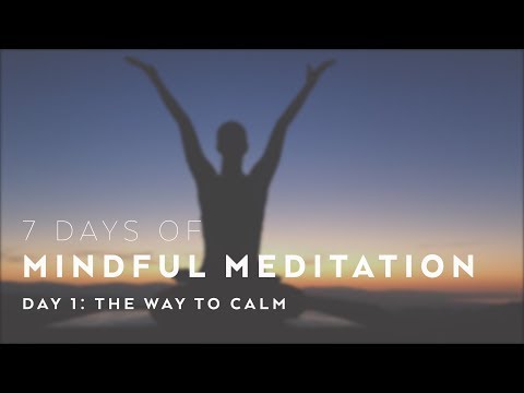 The Way to Calm - Meditation with Alissa Kepas
