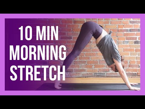 Morning Yoga Full Body Stretch - NO PROPS & ALL LEVELS