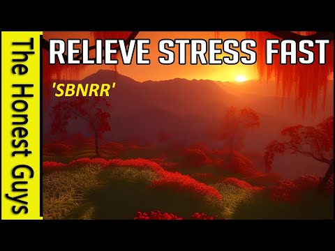 Stress Relief (SBNRR)
