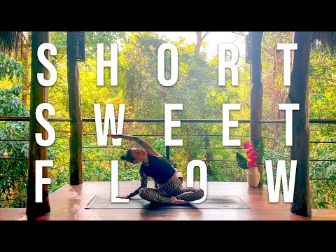 Morning Yoga - Short & Sweet Full Body Morning Stretch for Beginners