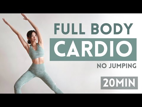 Full Body Fat Burning Cardio (No Jumping)