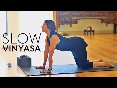 Hatha Yoga Flow (Slow Vinyasa)
