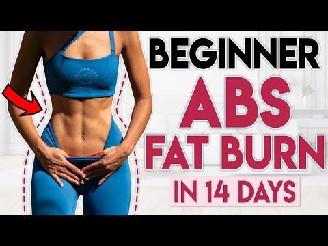 BEGINNER FRIENDLY ABS FAT BURN | Toned & Flat Stomach
