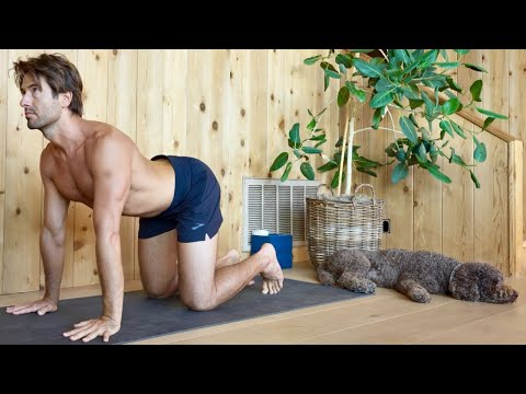 Yoga for Back Pain and Spine Health | Day 17
