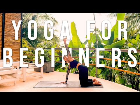 Yoga for Complete Beginners - Slow, Gentle, Relaxing, Beginner Stretch Yoga Workout