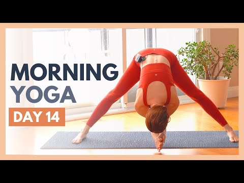 DAY 14: CELEBRATE - Morning Yoga Stretch - Flexible Body Yoga Challenge