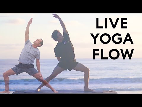 Live Yoga Flow...With Duke and Indy