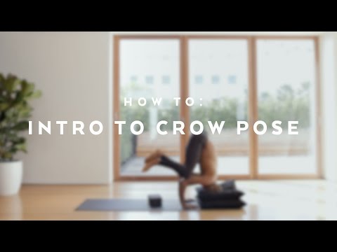 How To: Intro to Crow Pose with Andrew Sealy