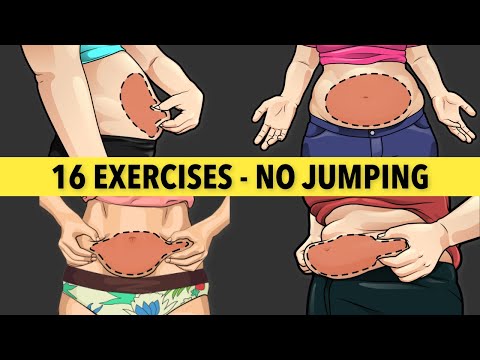 16 ABSOLUTE BEST EXERCISES TO LOSE ALL TYPES OF BELLY FAT (NO JUMPING)