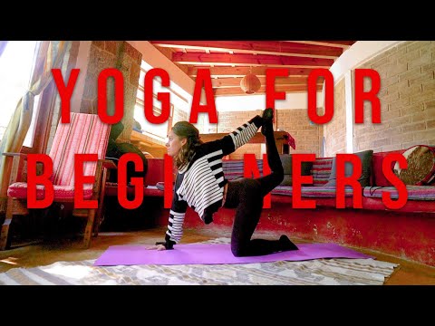 Yoga for Beginners - Gentle, Relaxing, Foundational Beginner Yoga Stretch Routine