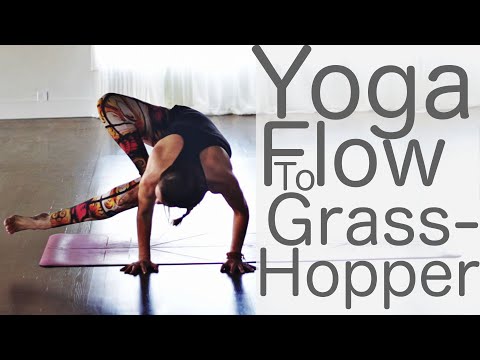 Vinyasa Flow Yoga for Balance (to Grasshopper)