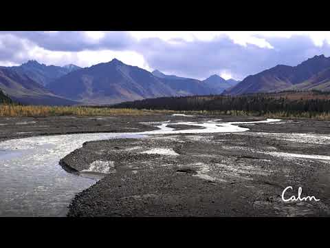 Calm | Denali National Park Soundscape | Nature Sounds for Relaxation, Work & Sleep