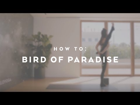 How To: Bird Of Paradise with Michelle Weinhofen